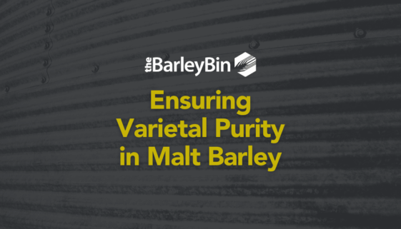 Ensuring Varietal Purity in Malt Barley