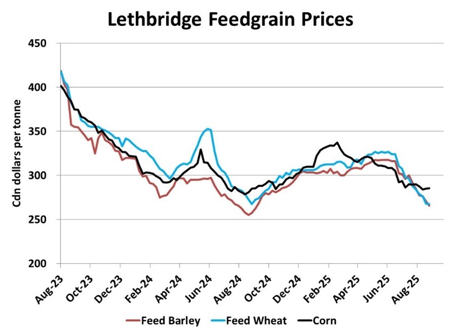 Lethbridge feed grain prices