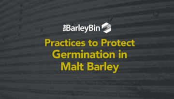 Practices to Protect Germination in Malt Barley