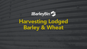 harvesting lodged barley & wheat title