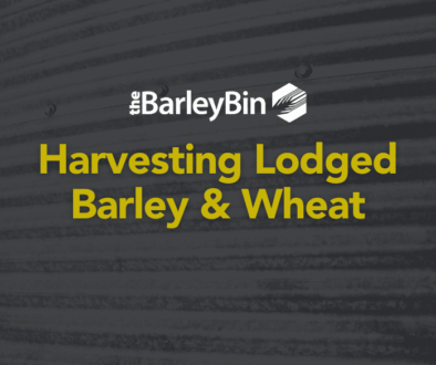 harvesting lodged barley & wheat title