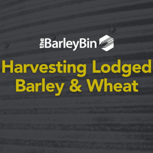 harvesting lodged barley & wheat title