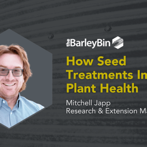 seed treatments improve plant health