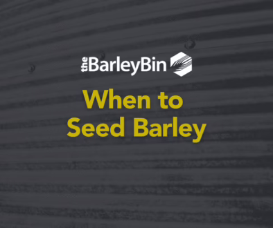 when to seed barley