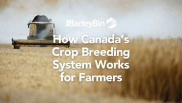 How Canada’s Crop Breeding System Works for Farmers cover image