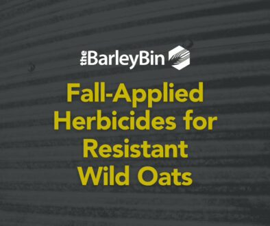 Fall applied herbicides on resistant wild oats