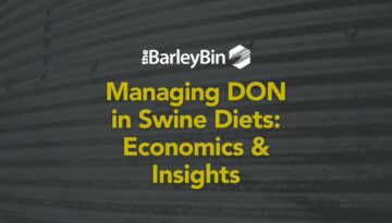 Managing DON in Swine Diets