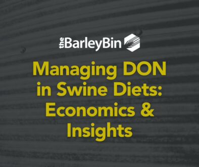 Managing DON in Swine Diets