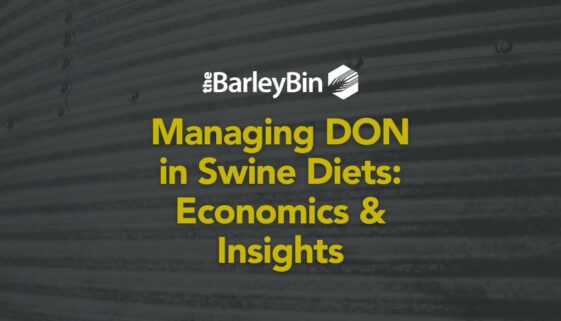 Managing DON in Swine Diets