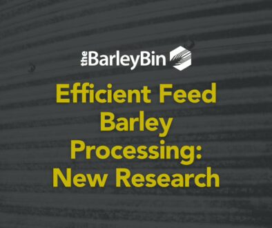 New research efficient feed barly processing efficient feed barley processing