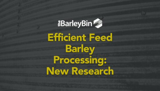 efficient feed barley processing