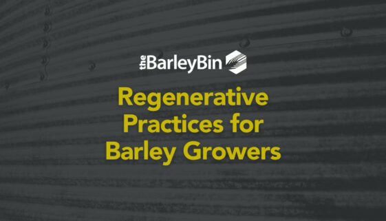 Regenerative practices for barley growers