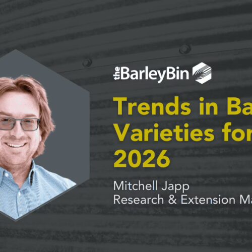 Trends in Barley Varieties for 2026