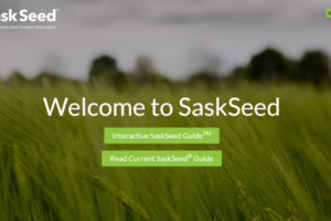 SaskSeed.ca screen shot
