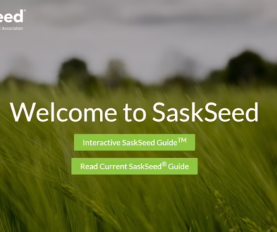SaskSeed.ca screen shot