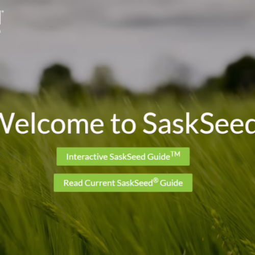 SaskSeed.ca screen shot