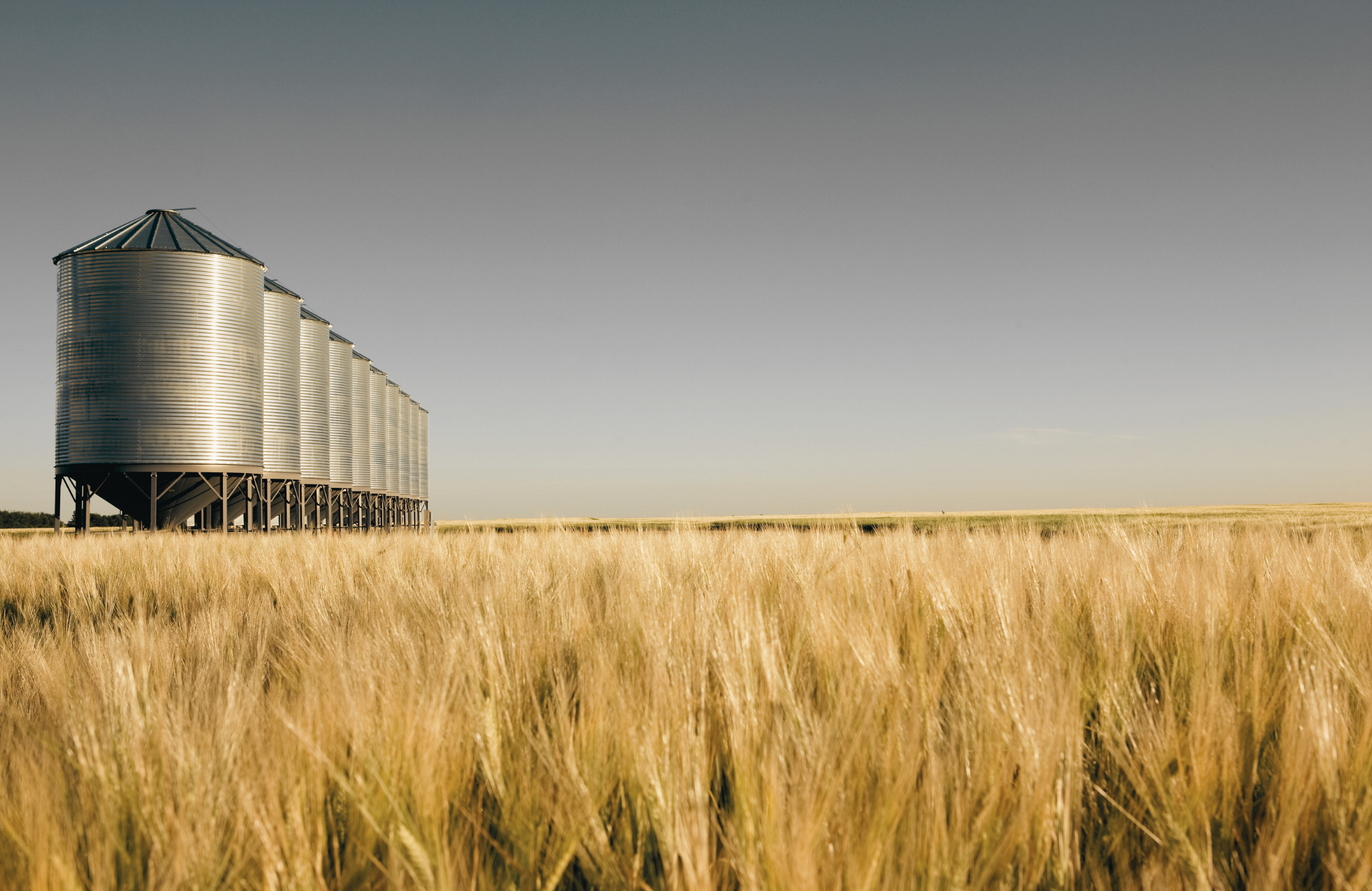 grain bins in barley field