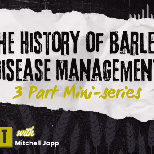 BarleyBin Podcast S3 Miniseries - disease management