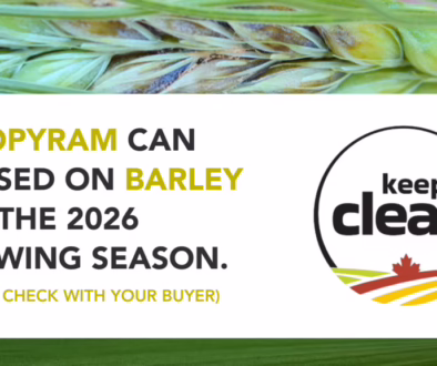 Fluopyram - SaskBarley fluopyram for barley in Canada