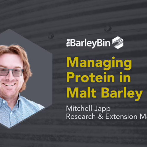 managing protein in malt barley cover image