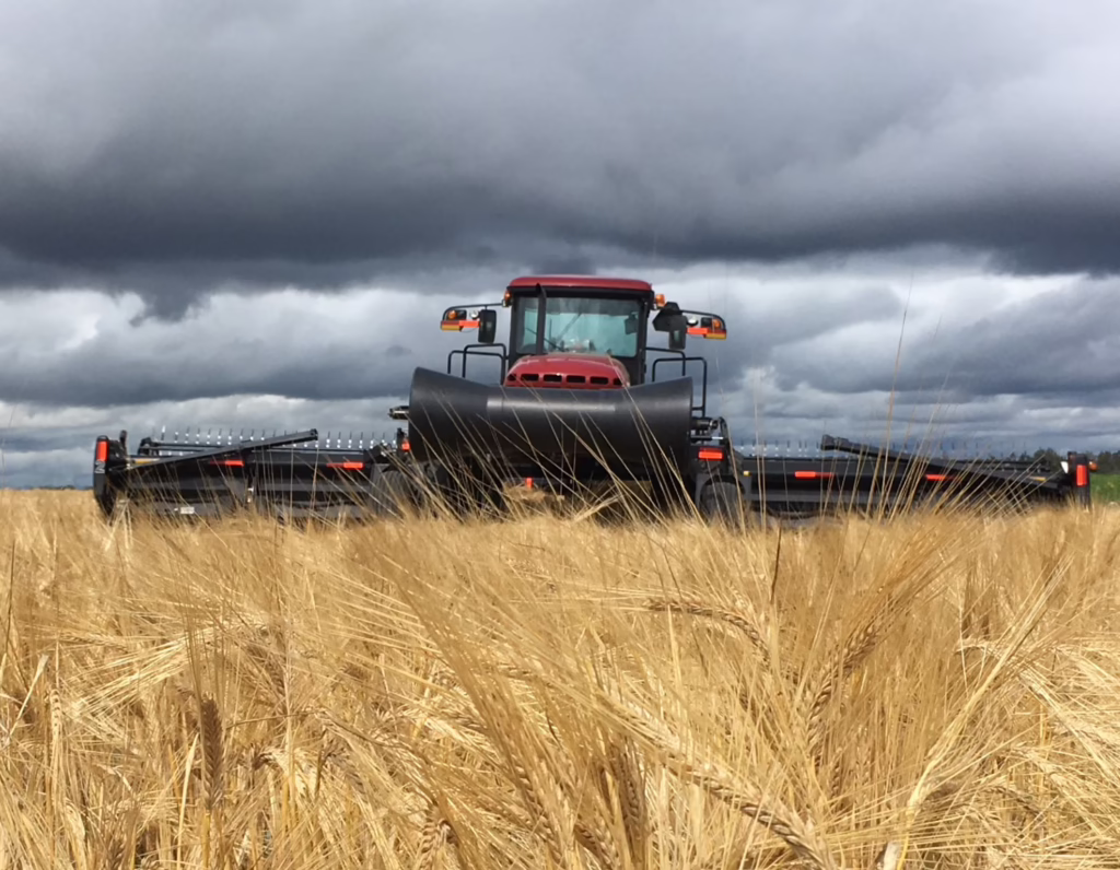 swather in barley field