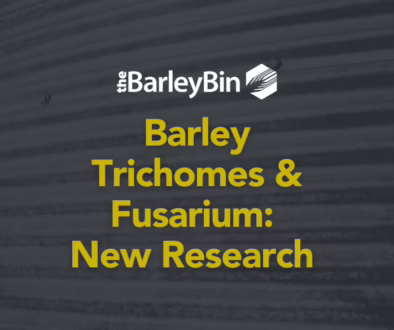 Barley Trichomes and Fusarium: New Research