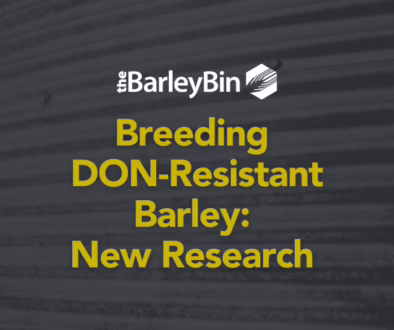 Breeding DON-Resistant Barley - New Research Breeding DON-Resistant Barley: New Research