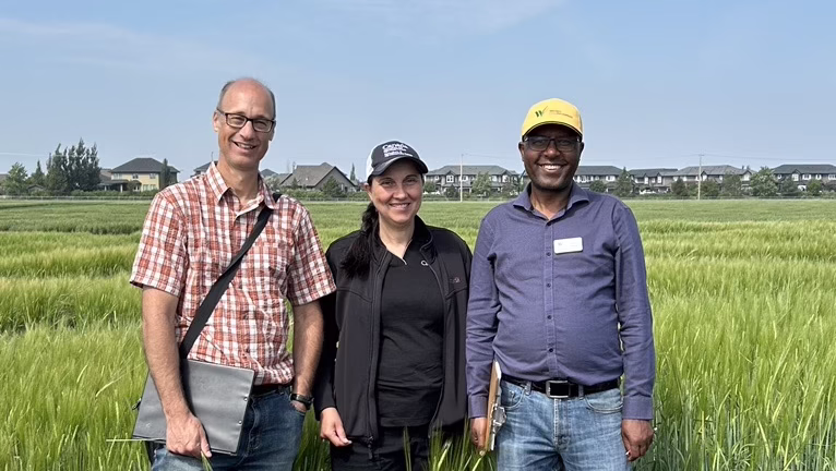 3 of Canada's public barley breeders standing in a field