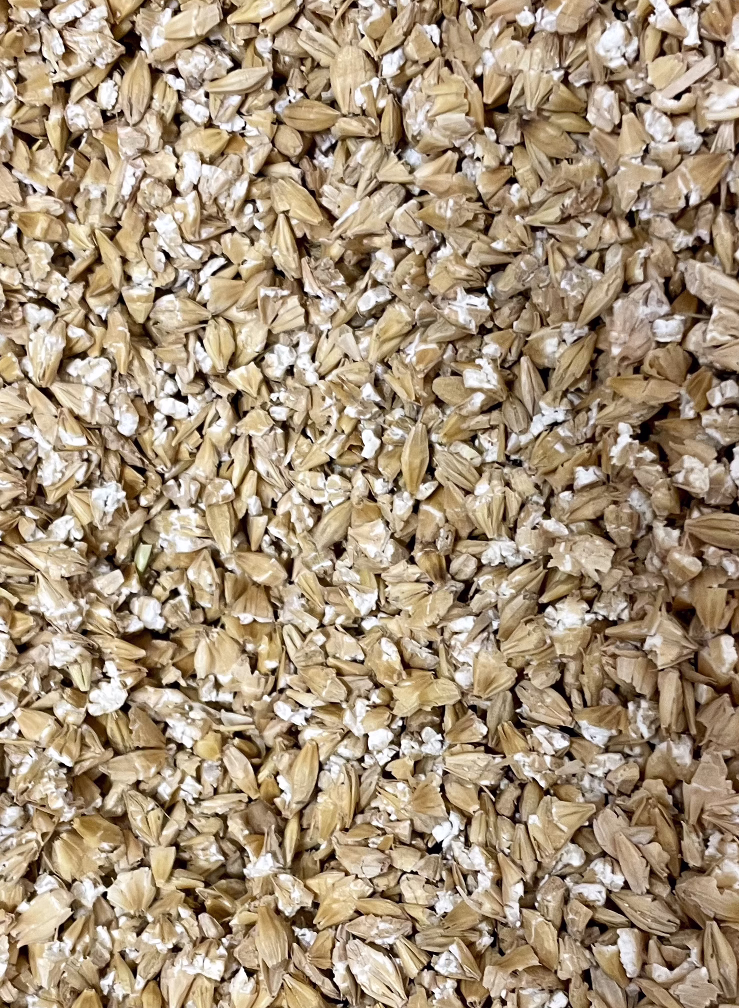 steam flaked barley ration